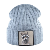 Gray Raccoon