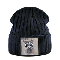 Black Raccoon