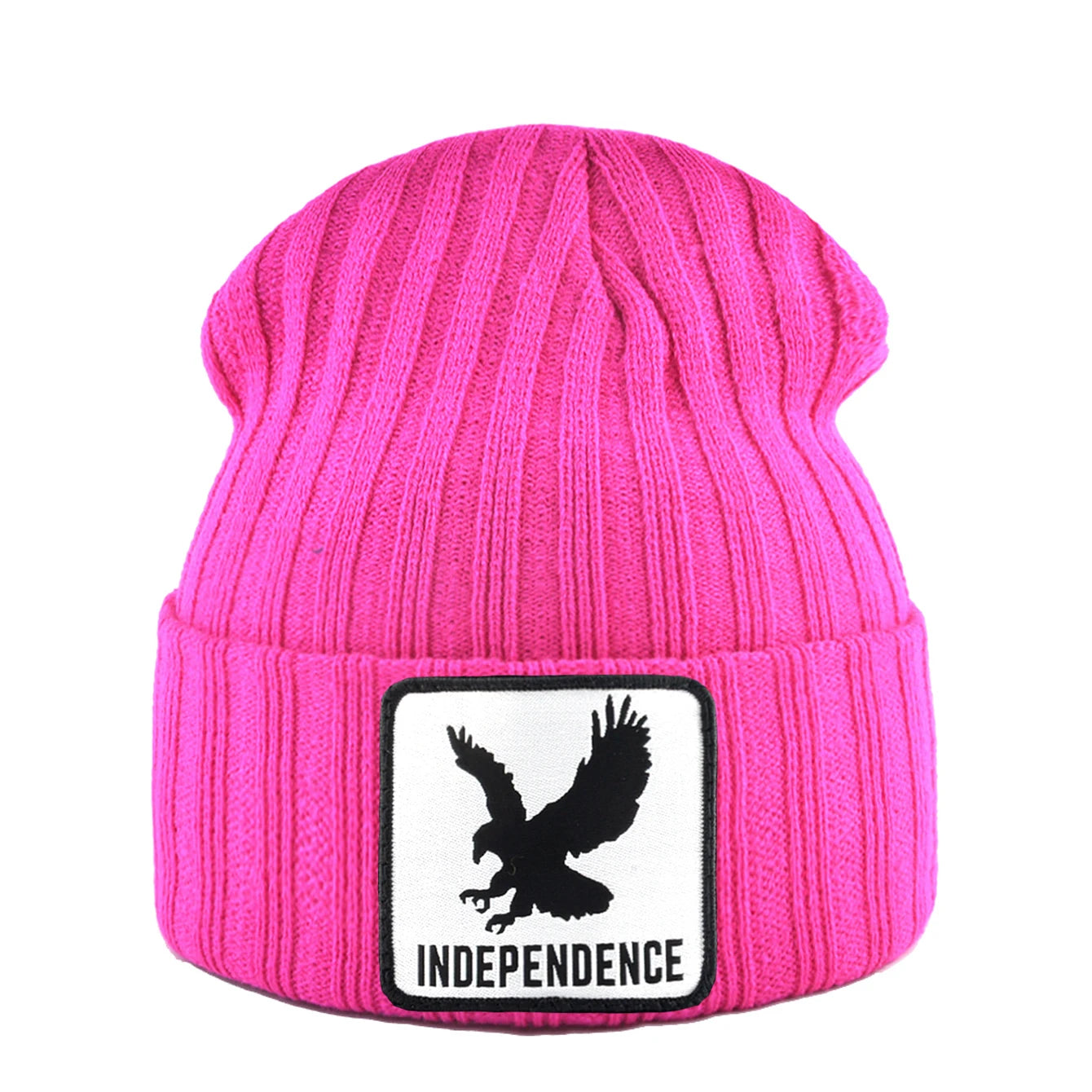 Knitted Skullies Beanie With Animals Patch Men Women Outdoor Casual Sport Hats Autumn Winter Solid Color Hip Hop Beanies